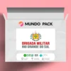 Brigada Militar do Estado do Rio Grande do Sul: 2º Sargento - Gran Cursos Online