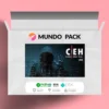ITpro tv Certified Ethical Hacker v10 (CEH v10) - EC-Council [INGLÊS]