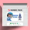 Fórmula Home Office - Wellinton Santos